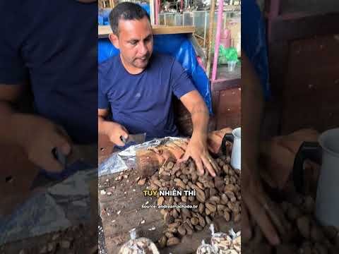 Quả gì mà như quả dừa thumbnail