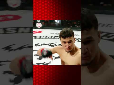 Раимбеков срубает соперника #alashpride #mma #mmafighters #нокаут thumbnail