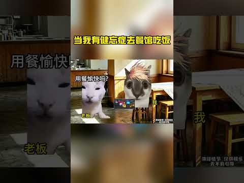 bro一周吃饭花300w 最后饿死了#猫meme #猫meme小剧场 thumbnail