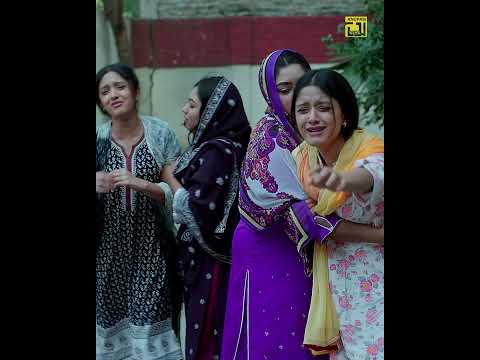 Ekdin Ami Chole | একদিন আমি চলে যাবো  | Fazlur Rahman Babu, Tapur, Tupur | Pulak Adhikary | Shorts thumbnail