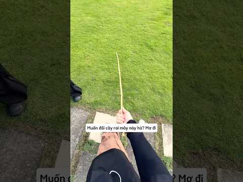 Ai cũng muốn đổi lấy cây roi mây của mẹ tôi thumbnail