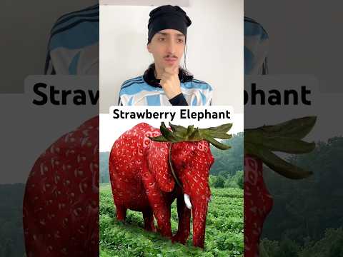 Les Animaux Disparus en 2067 ! #shorts #shortvideo #humour thumbnail