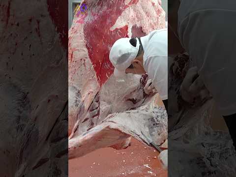 The Amazing Process of Korean Beef Coming to Our Table thumbnail