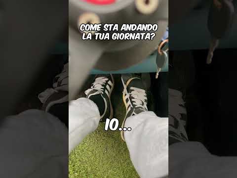 MOLTO MALE. thumbnail