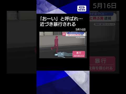 【ニュース】「おーい！」と呼ぶ男　その後…逮捕　近づいたら暴行される#shorts thumbnail