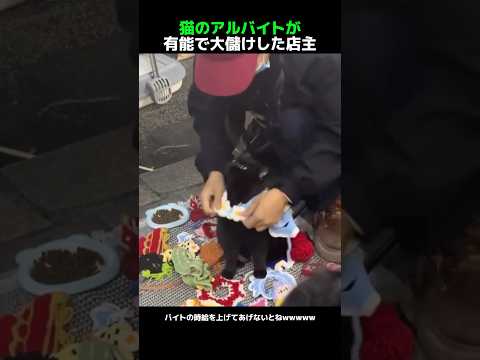 猫のアルバイトが有能で大儲けした店主 thumbnail