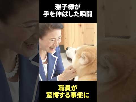 捨てられた秋田犬に雅子様がまさかのご対応！#皇室 #雅子様 #雑学 #天皇陛下 #海外の反応 #愛子様 thumbnail
