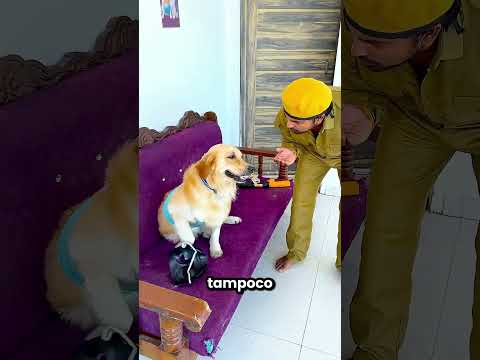 Este Perro No Le Tiene Miedo A Nada 😂❤️ thumbnail