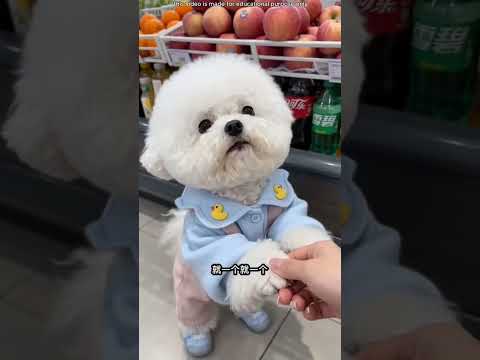 وأخيراً وجدت التفاحة! thumbnail