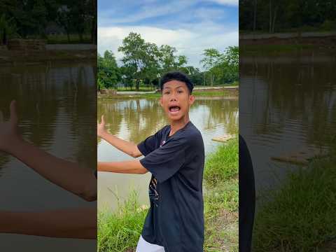 ini jembatan, ini sungai, ini pohon thumbnail