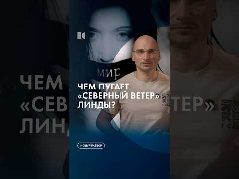 Тайный смысл песни Линды #каныгин #разборы thumbnail
