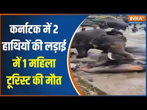Breaking News:कर्नाटक में 2 हाथियों की लड़ाई में 1 महिला टूरिस्ट की मौत। Karnataka Elephant fight thumbnail