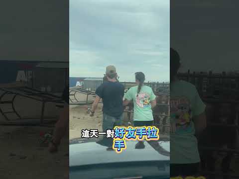 兩頭小牛模仿人類牽手跳躍 thumbnail