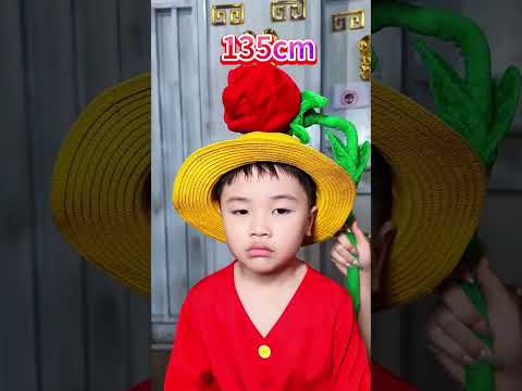 小路飞和果果量身高 #海贼王 #路飞 thumbnail