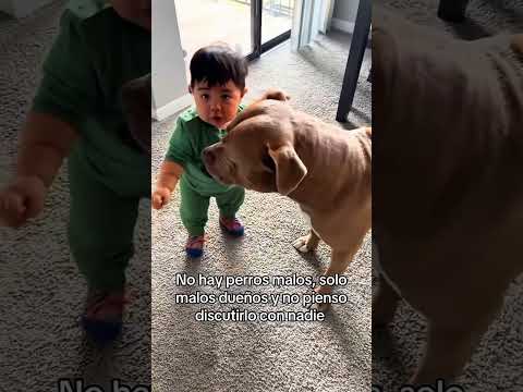 #love #baby thumbnail