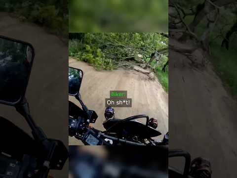 Biker Hit A Tree But It Gets Worse… thumbnail