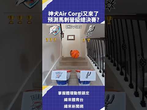 神犬Air Corgi又來了預測 #馬刺 晉級總決賽?#NBA  #雷霆 #C02 5/29 分區決賽 轉播 0830 雷霆VS馬刺 G6 #NBA #CPBL ／ YT 頻道／緯來APP LIVE thumbnail