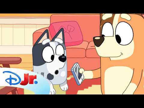 Muffin Tries to Record a Song for Grandad! 💙🎵 | Bluey Minisode Humpty Dumpty | @disneyjr thumbnail