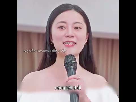 Người đàn ông đã thành công làm cho đậu phụ có hương vị giống hệt thịt heo. thumbnail
