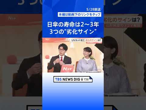 紫外線対策に「日傘」 3秒で折りたためる傘や…ファン付き「ファンブレラ」などが注目、日傘の寿命の見極め方【Nスタ解説】｜TBS NEWS DIG #shorts thumbnail