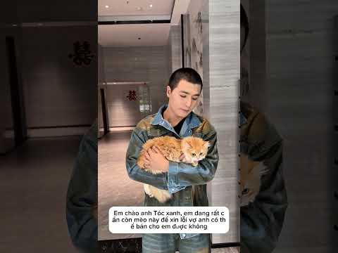 Các Bạn Nhớ Xem Đến Cuối Để Xem Cái Kết Nhé #shorts thumbnail