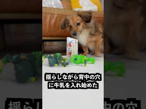 腕からスライムを出す忍者に粘着性の高いスライムを入れれば腕が取れないはず！ thumbnail