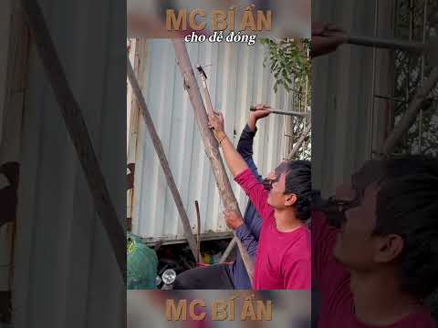 Phải Tính Lại Từ Đầu | E394 #mcbian thumbnail