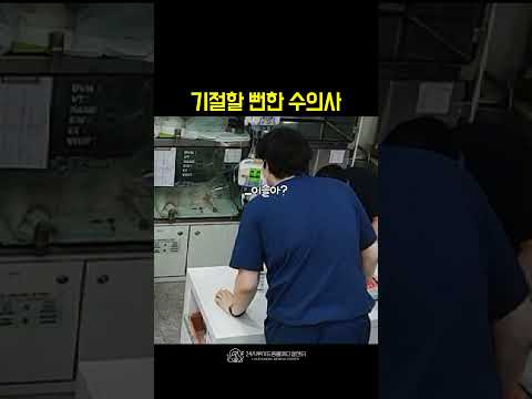 입원장을 확인하던 수의사가 식겁한 이유 #24시동물병원 #수의사 #동물병원일상 thumbnail