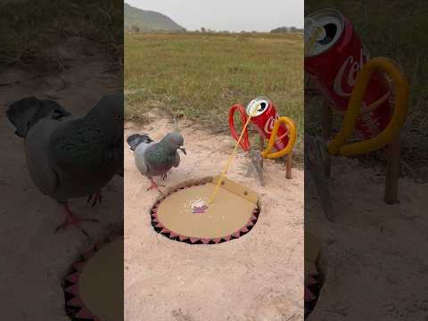 Great Unique Bird Using Cardboard & Hole #youtubeshorts thumbnail