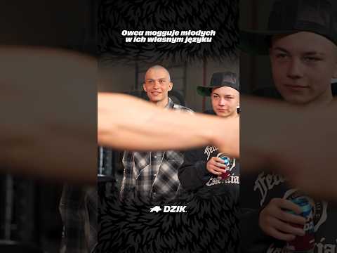 Owca mogguje młodych thumbnail