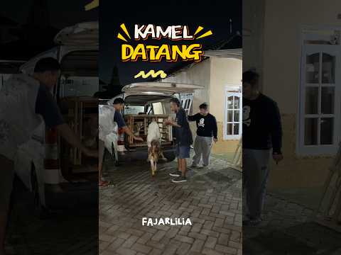 KAMEL DATANG #dramangakak thumbnail