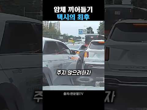 얌체 택시의 최후 thumbnail