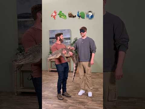 Guess The Animal #shorts #viral #trending #mrbeast thumbnail