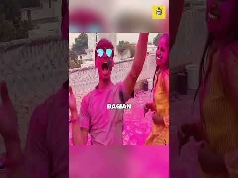 FESTIVAL DI INDIA thumbnail