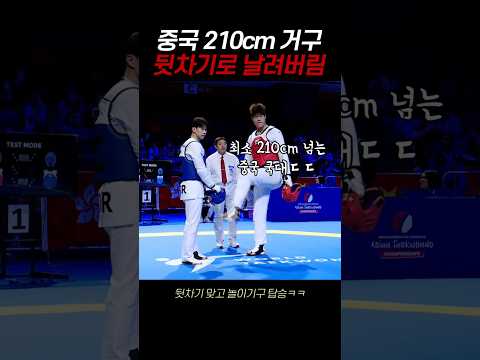중국 210cm 거구를 뒷차기로 날려버림 ㄷㄷ thumbnail