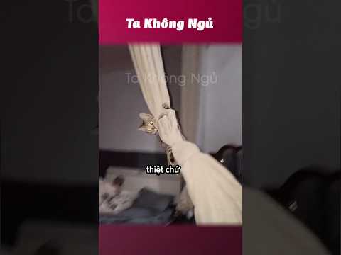Mấy đứa lắm lông này hài 😝 #takhongngu thumbnail