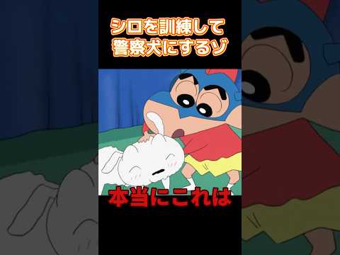 シロを訓練して 警察犬にするゾ #コントチャンネル #アニメ #面白い #anime #コント #funny thumbnail