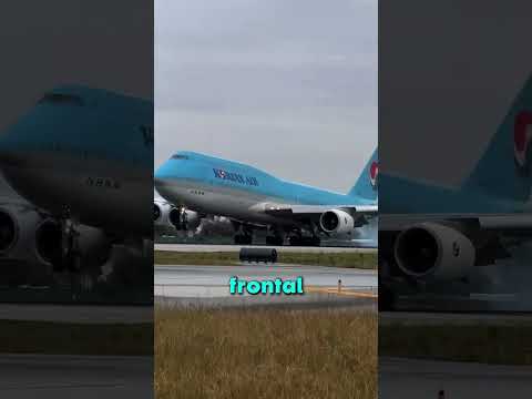 POR ESTO NO PUEDES BAJAR DE UN AVIÓN AL ATERRIZAR!! 😯 thumbnail