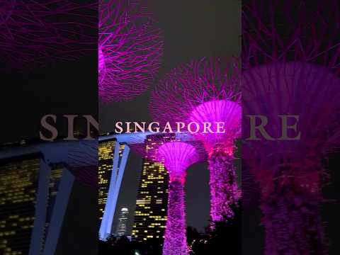 BLACKPINK WORLD TOUR [DEADLINE] IN SINGAPORE 🌸 #BLACKPINK #WORLDTOUR #DEADLINE_IN_SINGAPORE thumbnail