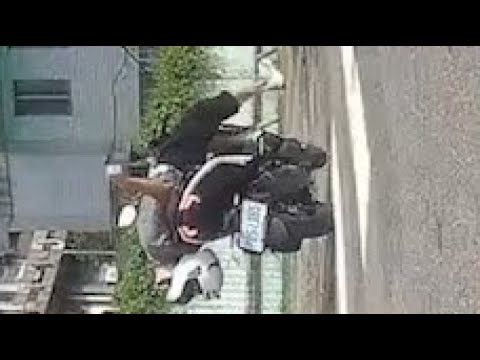 【車禍影片】跨越雙黃線逆向超車一秒變蝦子 thumbnail