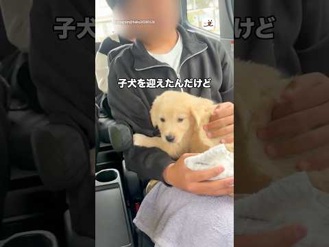 母犬と離れ離れにさせた悲しみで次男が…😢｜PECO thumbnail