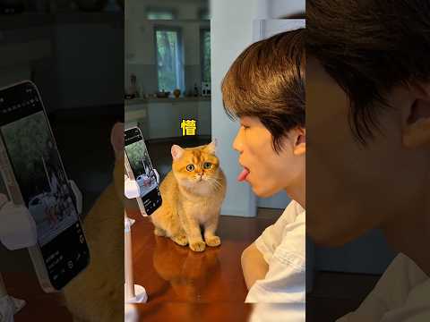 Bontot heran liat majikan melet ? thumbnail