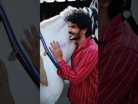 Wafadar ghoda,…👀❤️ #azmaik #reality #humanity #hearttouching #emotional #kind #horse thumbnail