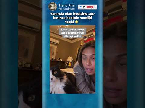 Yanındaki Kedisine Seslenen Kadına Kedinin Tepkisi 😂🤣 thumbnail
