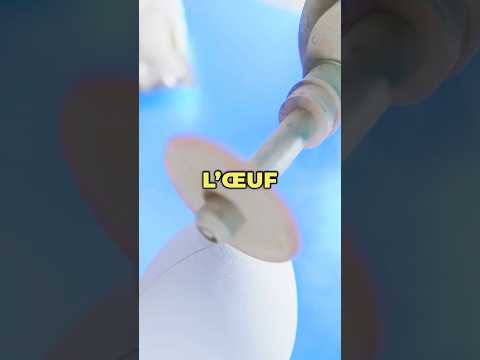 Comment créer des effets spéciaux d'œufs qui se cassent tout seuls 😮 thumbnail