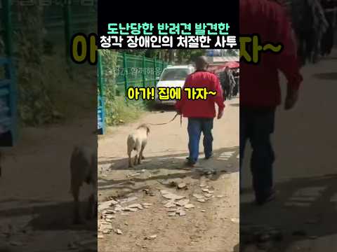 도난당한 반려견 발견한 청각 장애인의 처절한 사투 thumbnail