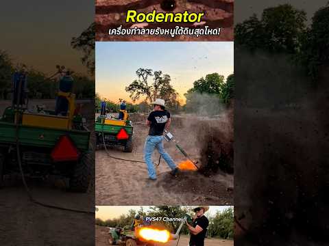 Rodenator เครื่องทำลายรังหนูใต้ดินสุดโหด! #สาระความรู้ #เครื่องกำจัดหนู #เกษตรกร #นวัตกรรม #shorts thumbnail