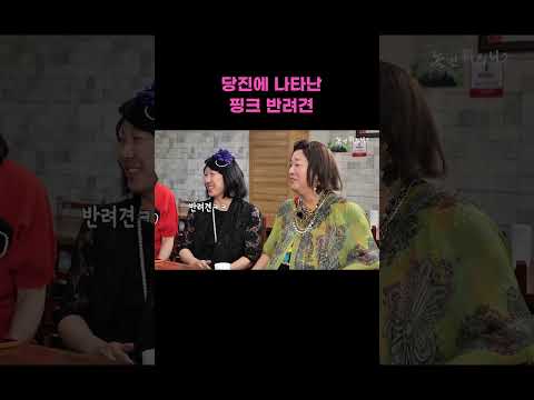 [놀면 뭐하니] 당진에 등장한 핑크 반려견🐩🩷 thumbnail