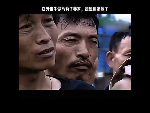 在外当牛做马为了养家，没想到家散了 thumbnail