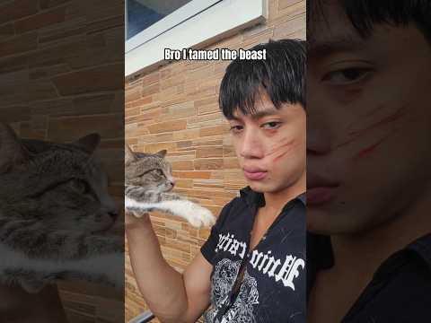 I tamed the beast thumbnail
